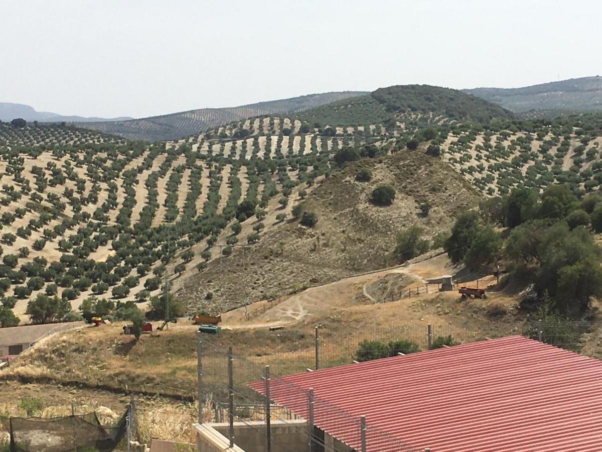 Apartamento Turistico Mirador De Sierra Magina Noalejo Entre Granada Y Jaen Zewnętrze zdjęcie